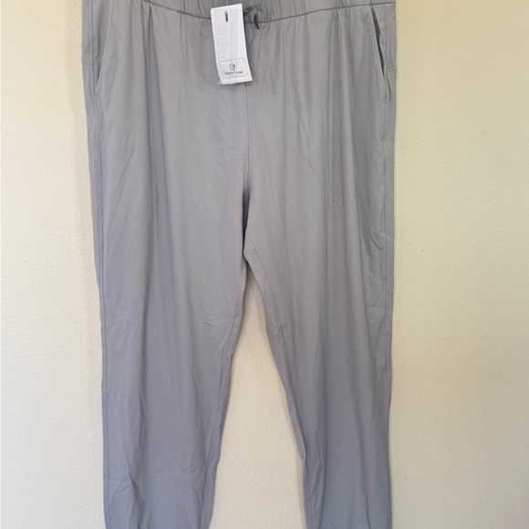 Gray Pants - Picture 1 of 9
